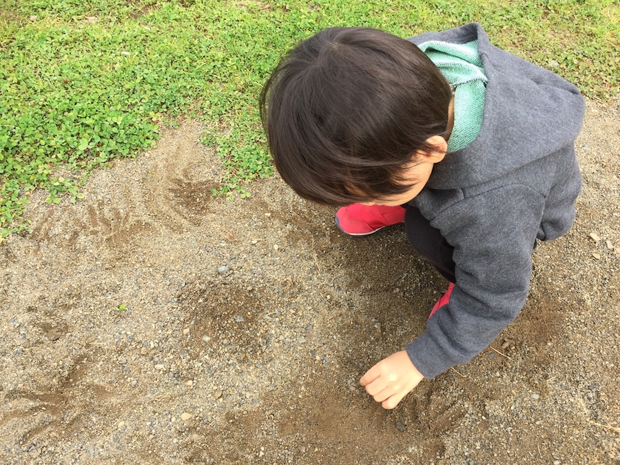 土のままになっている庭で遊ぶ子供