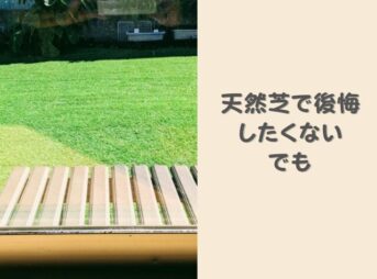 天然芝は後悔する？芝生はやめたほうがいいと言われる理由と庭の芝生をやめたいときにかかる費用の目安