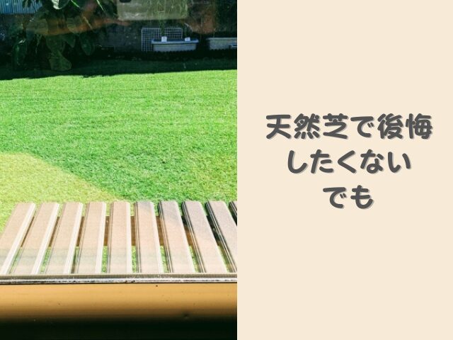 天然芝は後悔する？芝生はやめたほうがいいと言われる理由と庭の芝生をやめたいときにかかる費用の目安