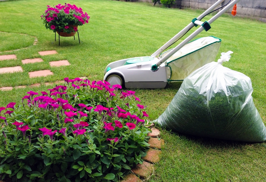 天然芝で後悔した体験談 ５つの気をつけるポイント サブタックス