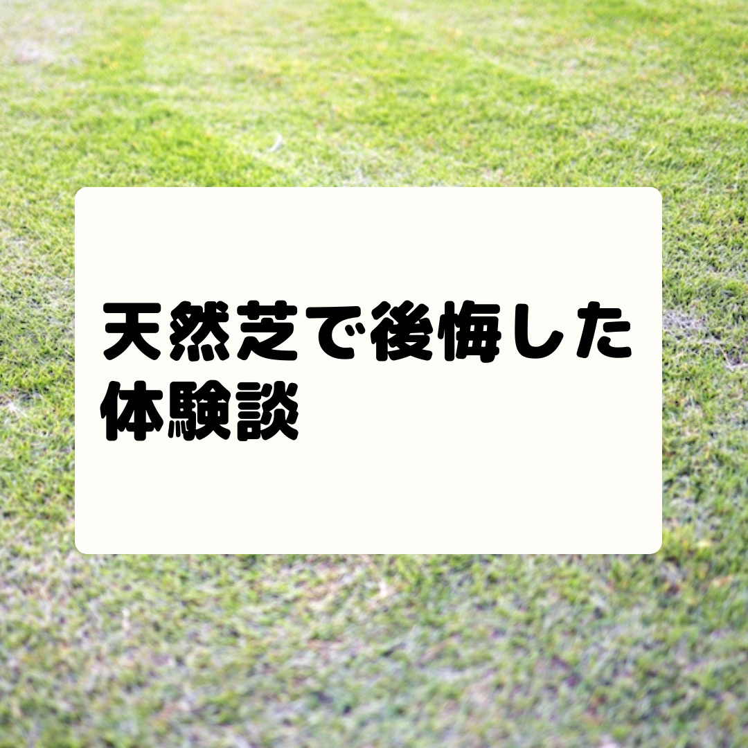 天然芝で後悔した体験談 ５つの気をつけるポイント サブタックス